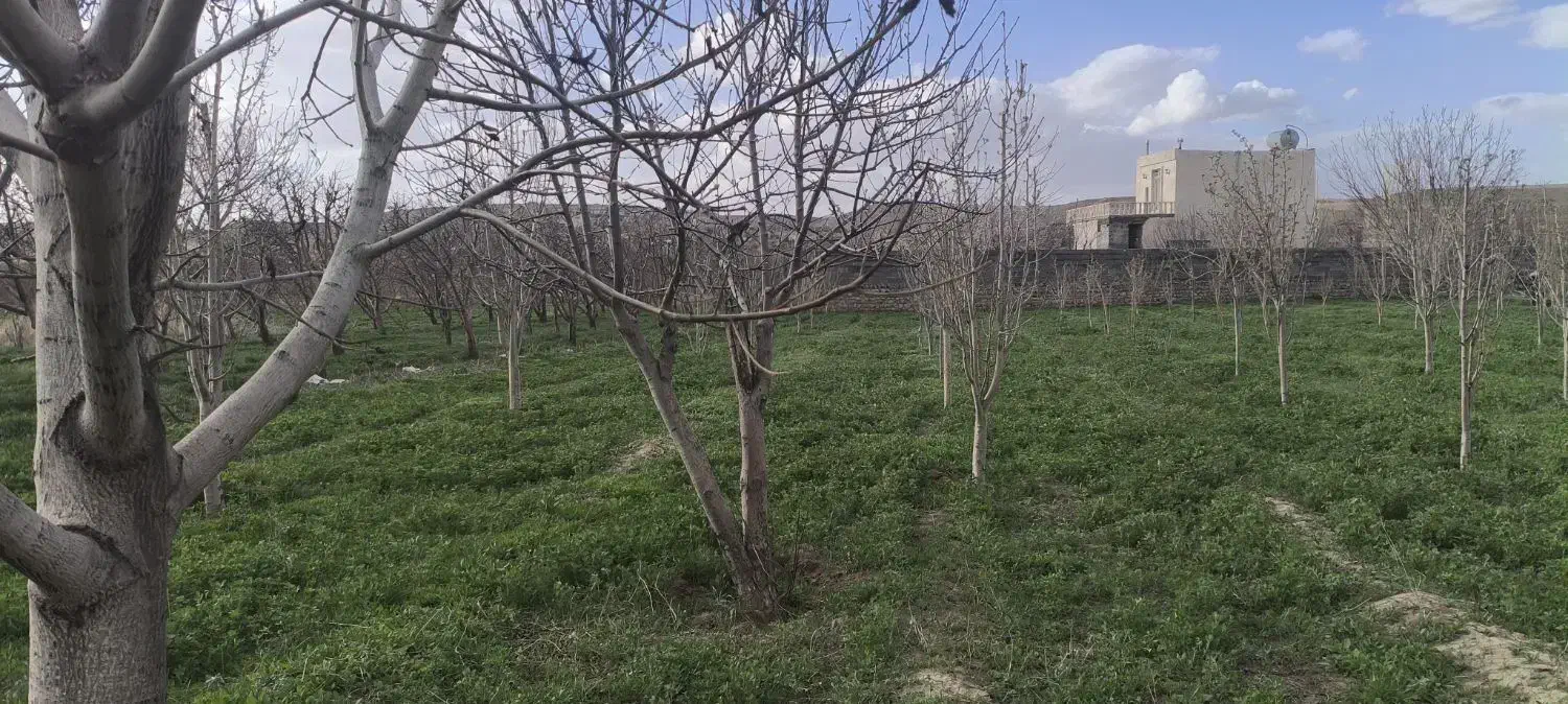 باغ