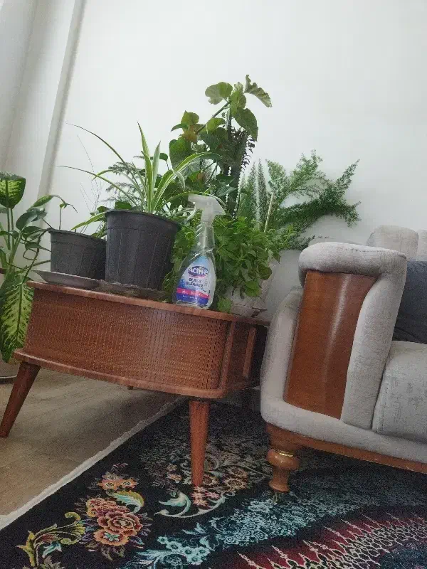 آپارتمان