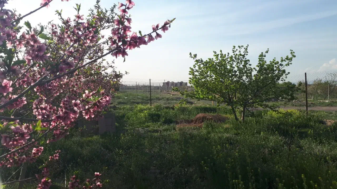 فروش باغ در گلبهار