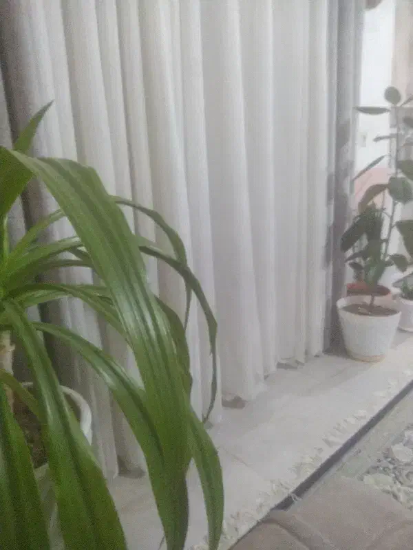 رهن و اجاره منزل بلوار اتحاد