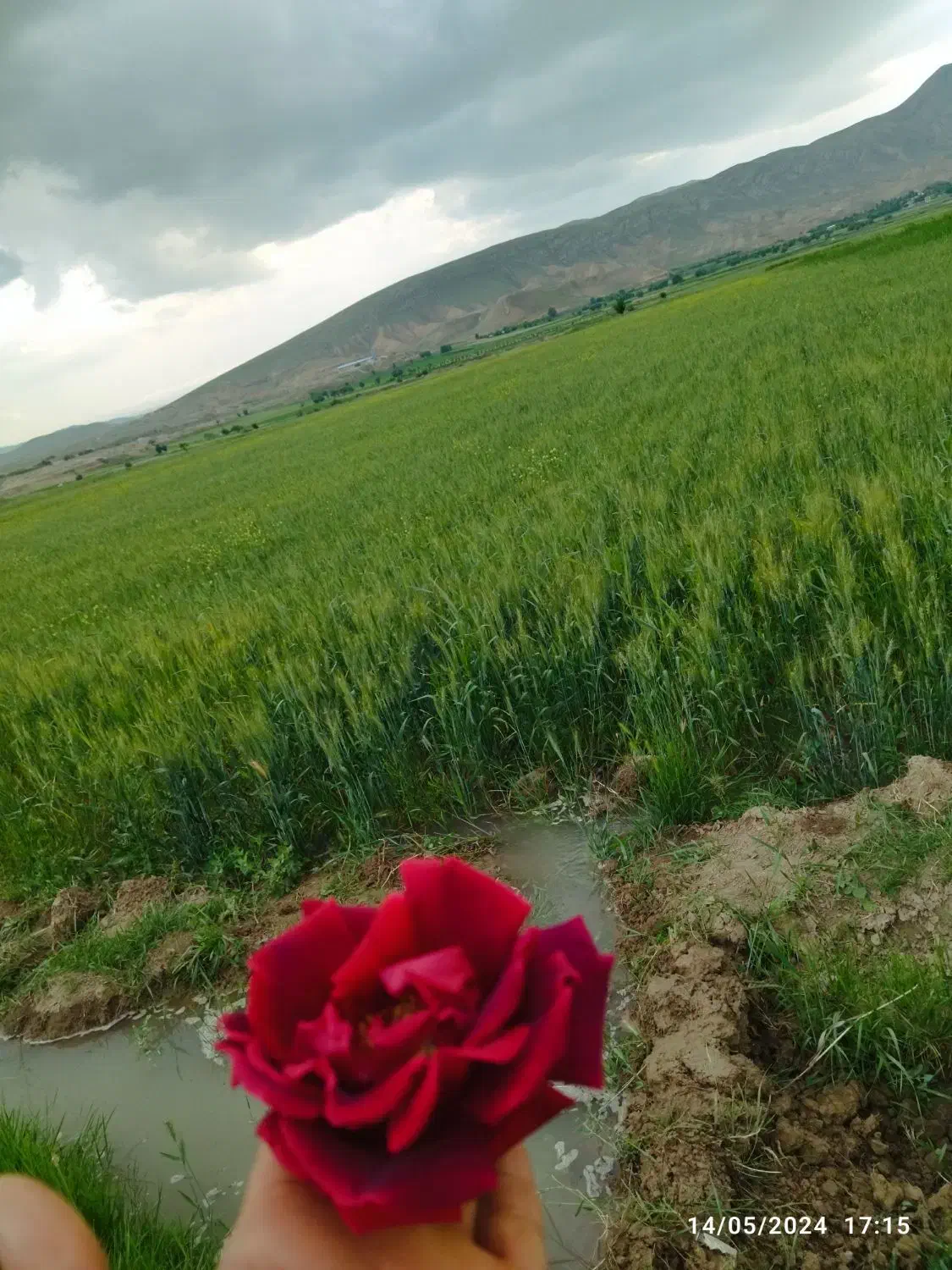 زمین خانه سازی باغ ویلا