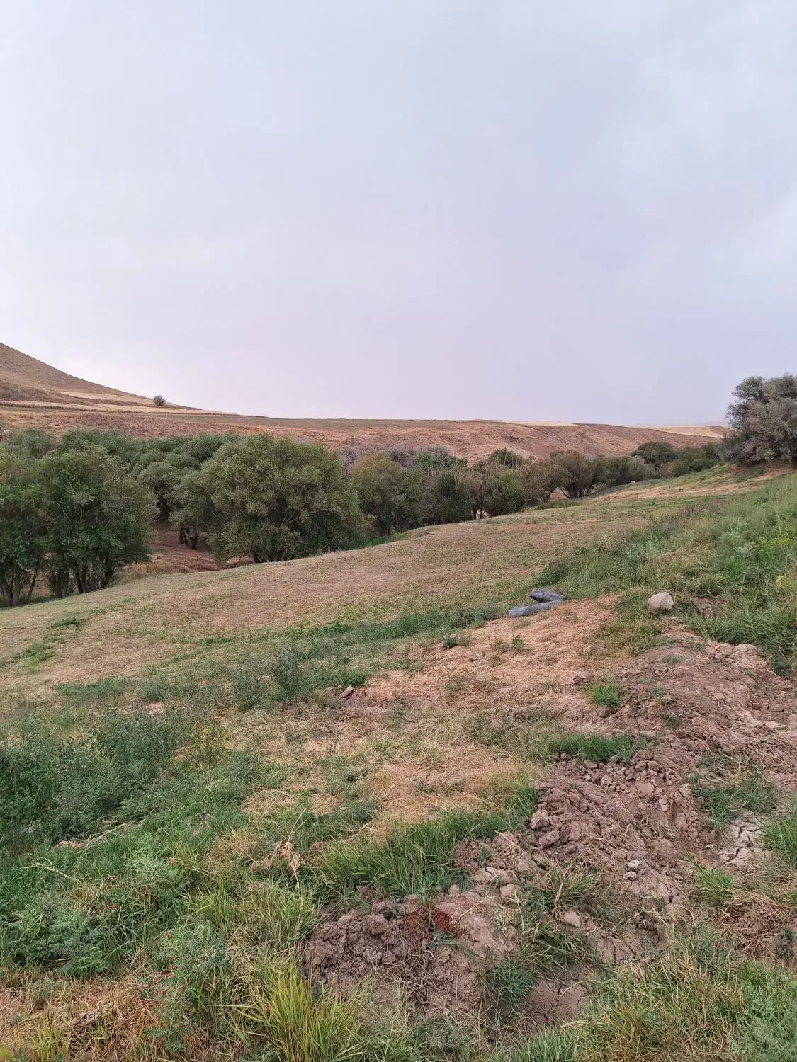زمین بحر 2کمربندی