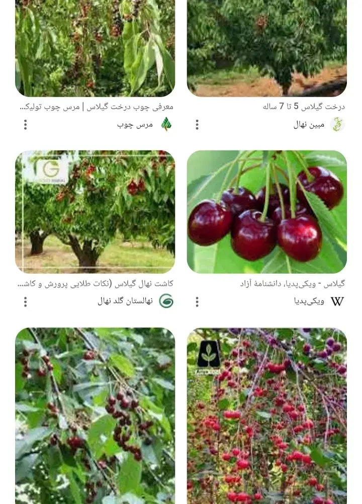 زمین فروشی