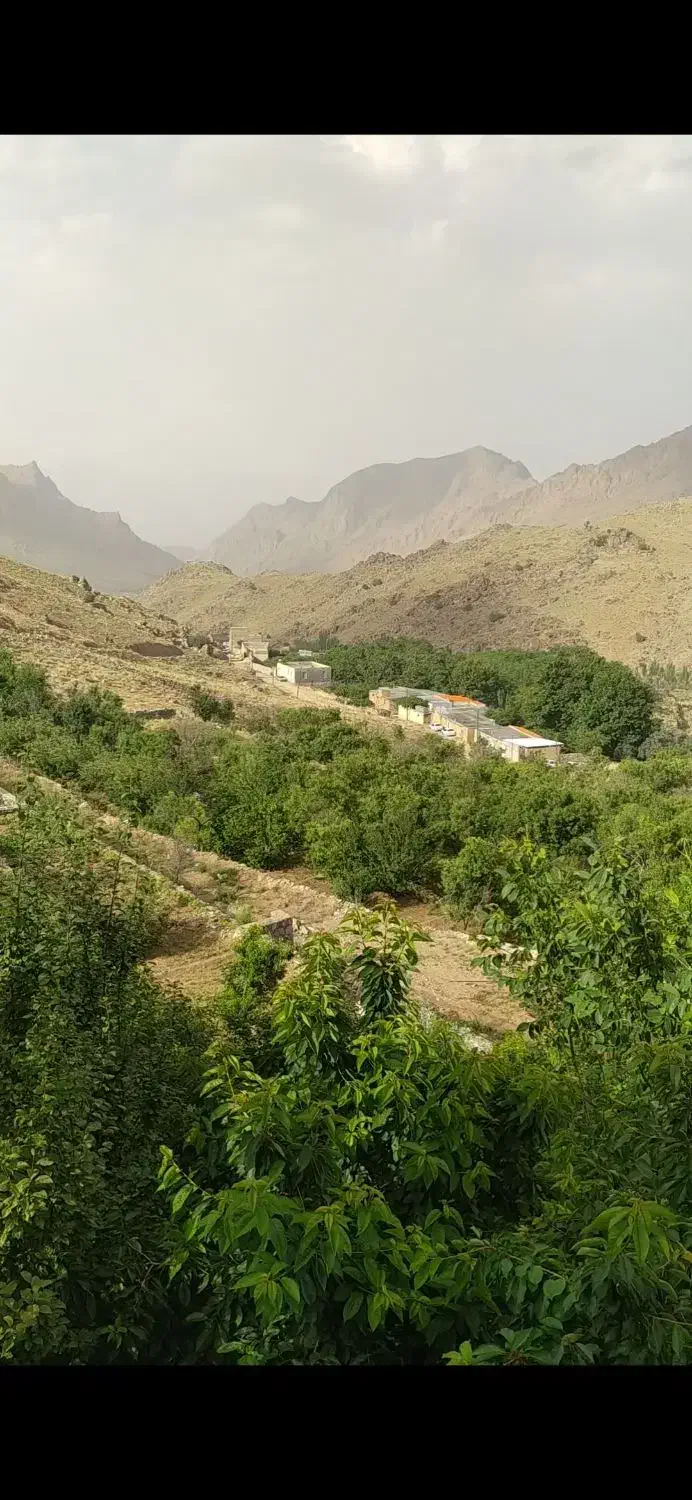 فروش باغ و زمین بنادک سادات