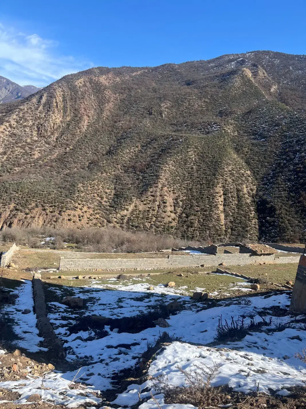 زمین ییلاقی