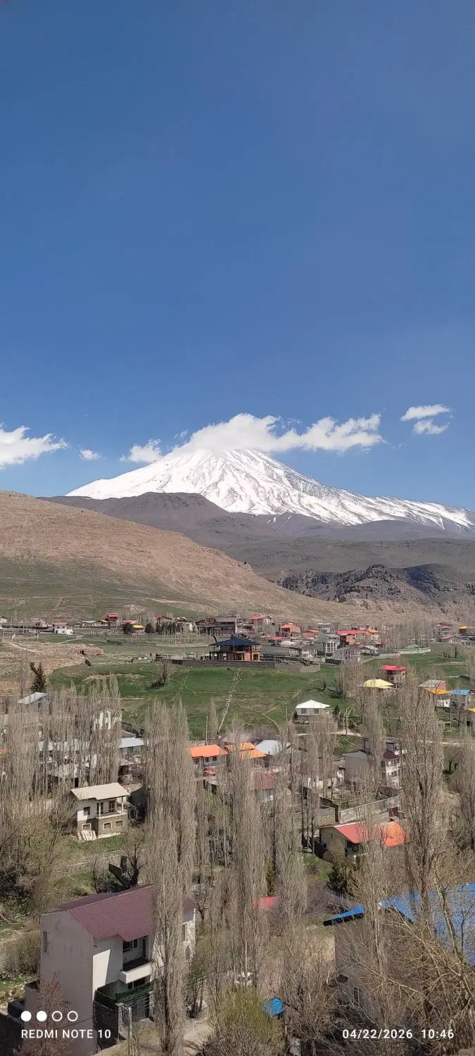 زمین سند تک برگ