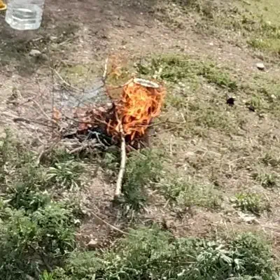 باغ