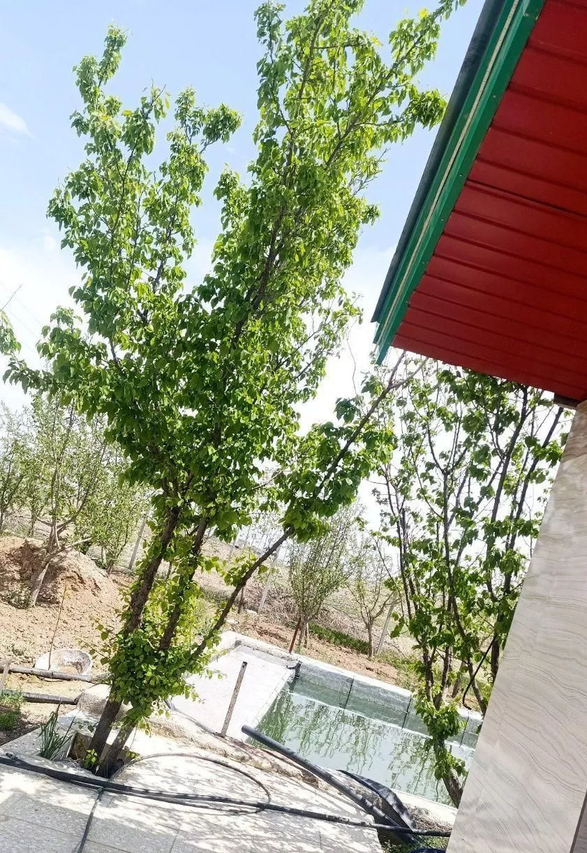 خانه باغ