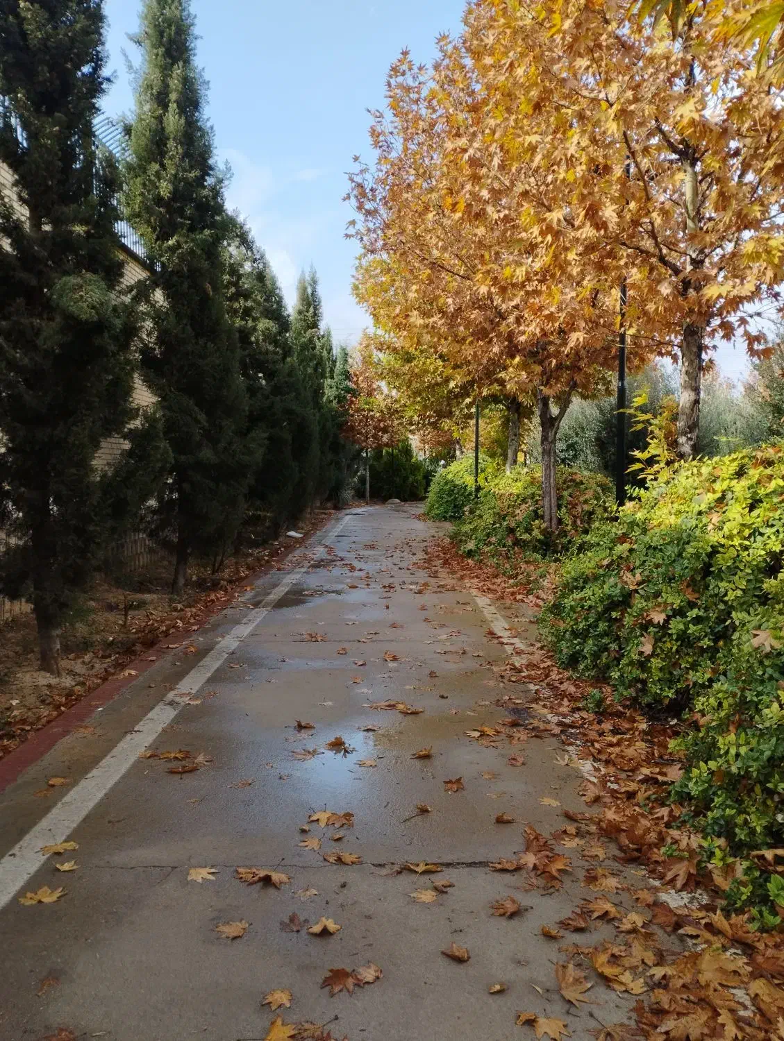 زمین مسکونی دهشیخ روستای کاکلی