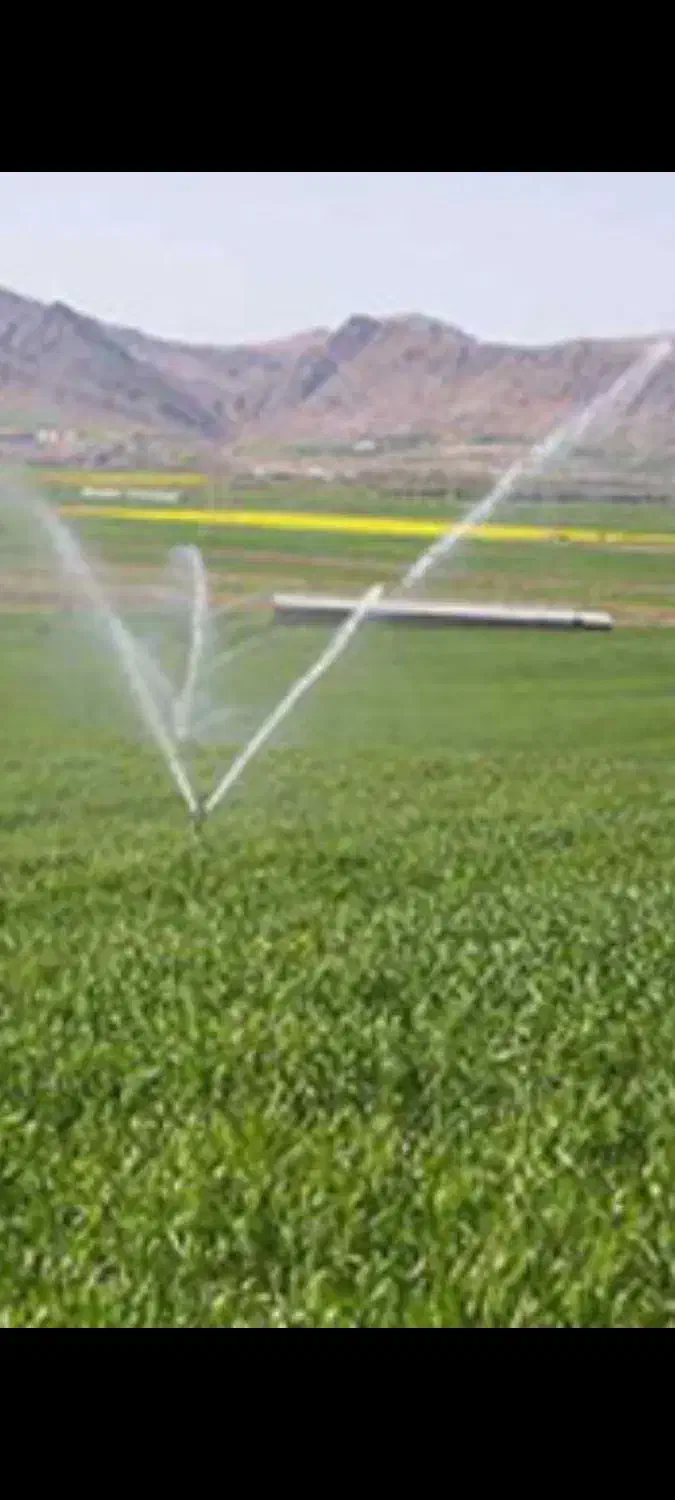 اجاره زمین کشاورزی بارانی