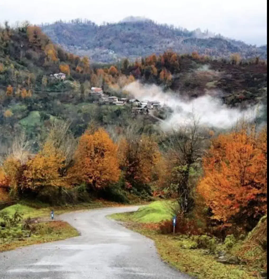 زمین مسکونی
