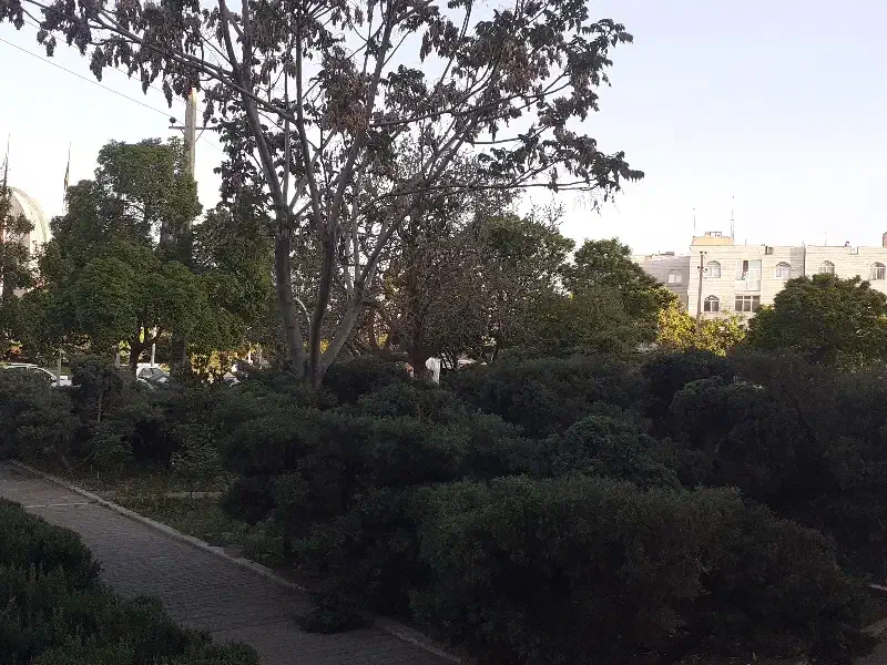 مینودر مجتمع جنب پارک سنگی