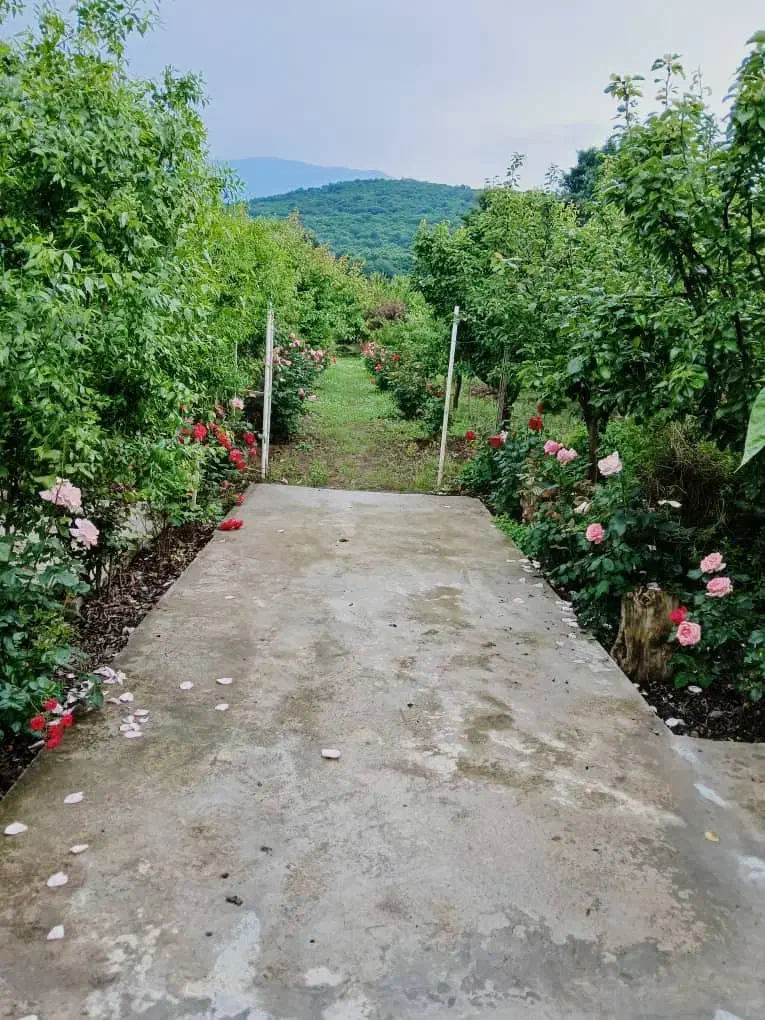 زمین فروشی   ۱۴۳۰ متر