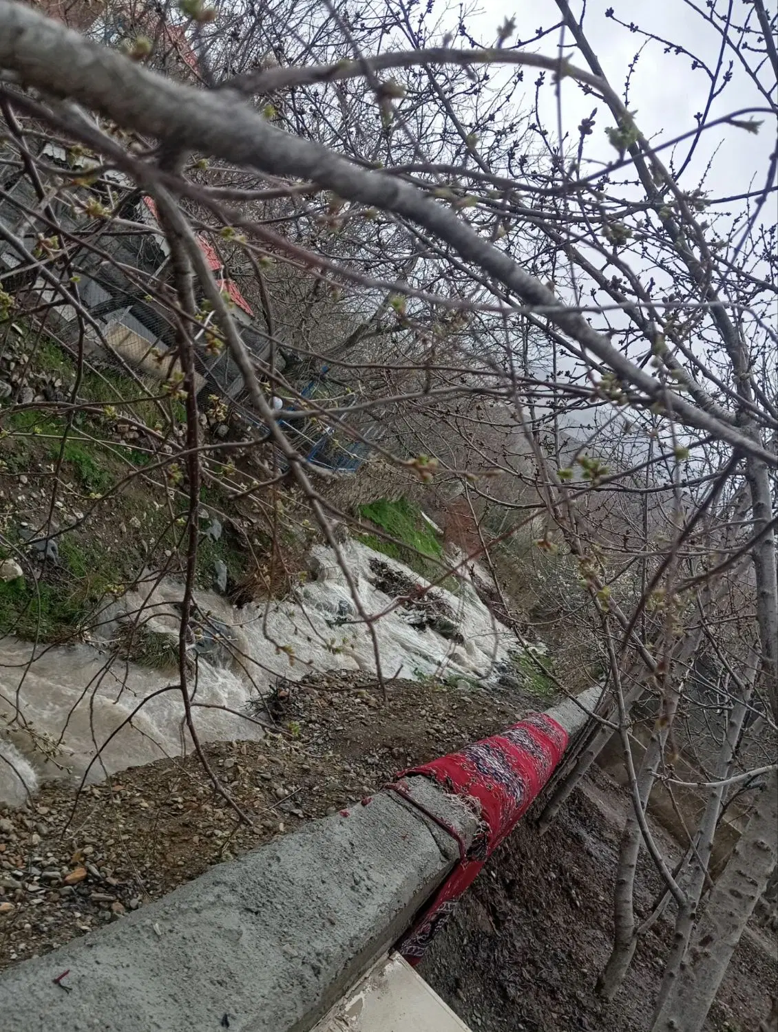 اجاره سوئیت ویلاباغ روستای بوژان به صورت روزانه