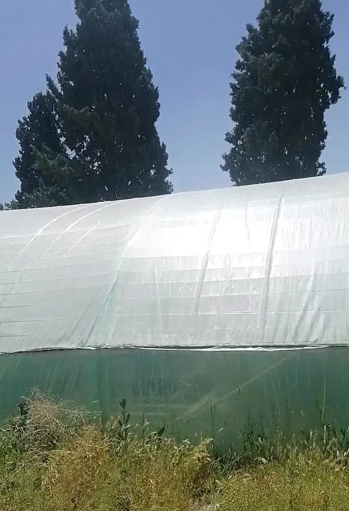 گلخانه دست دوم آهنی