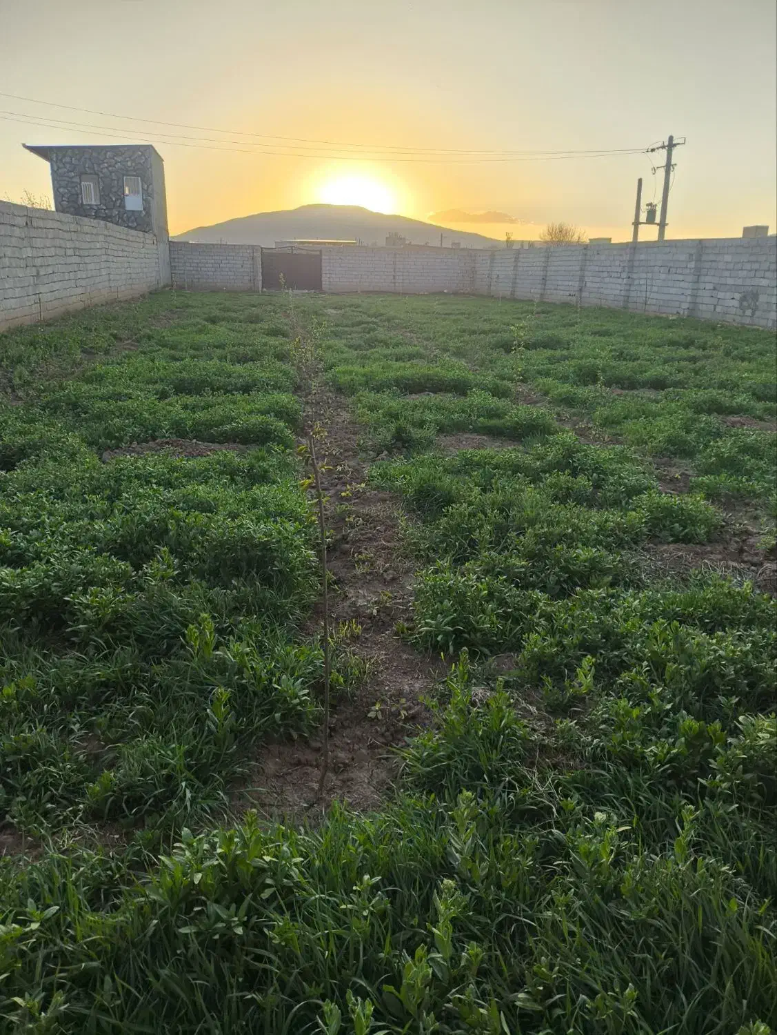قطعه  ویلایی آماده(دور حصار  شده آماده)