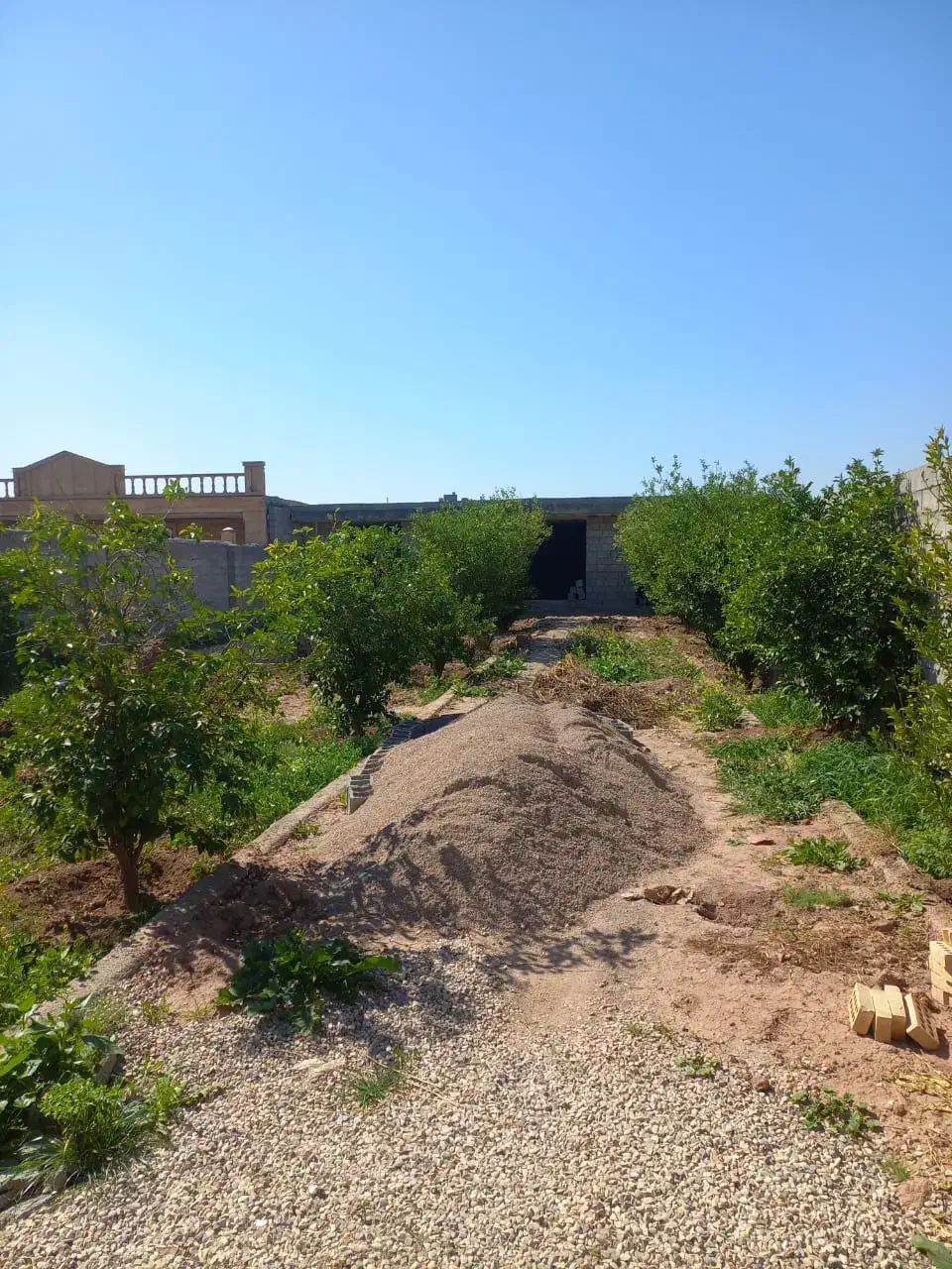 خرید فروش باغچه
