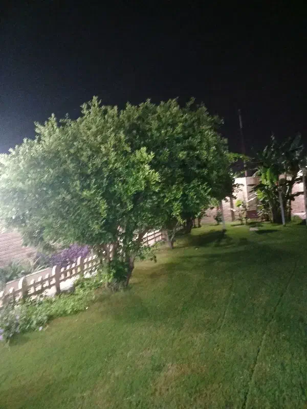 فروش زمین باغچه شهرک منتظران