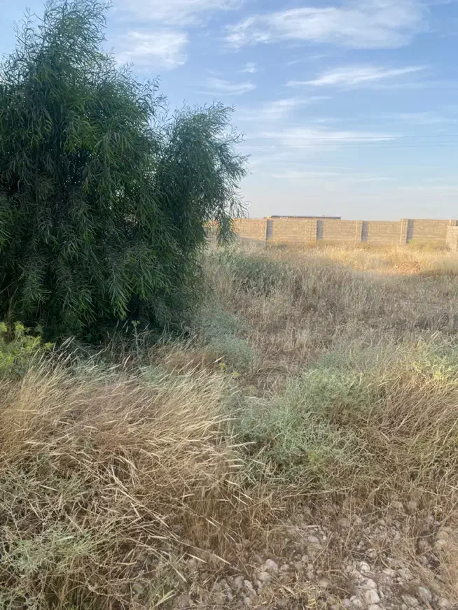 فروش و معاوضه زمین باغ شهری بهارستان