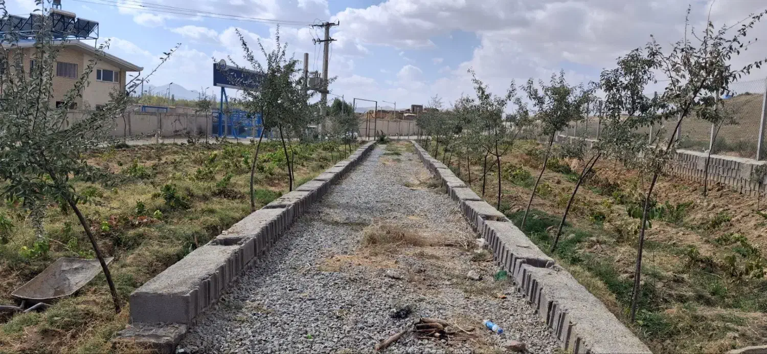 باغ میوه