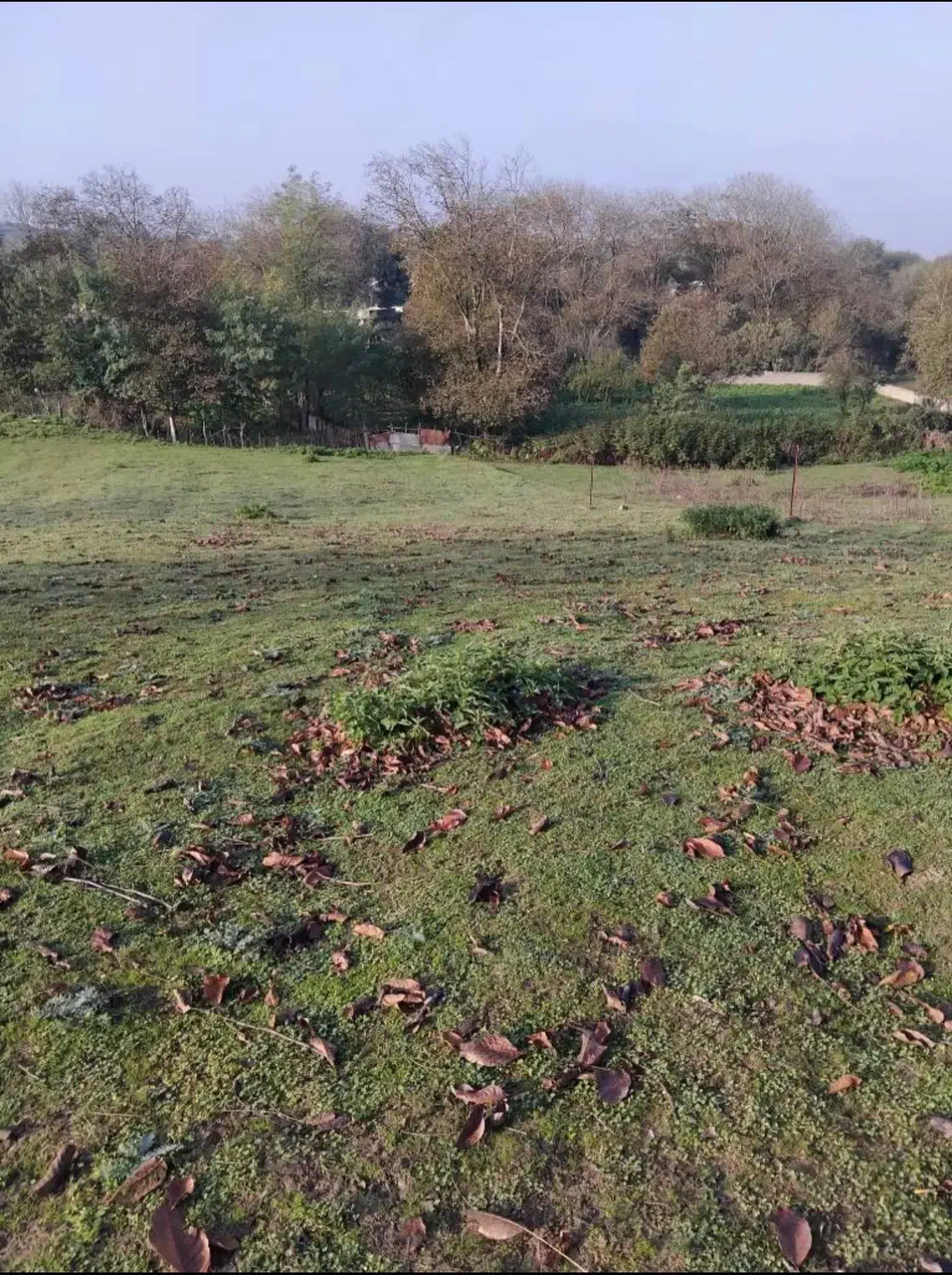 قطعه زمین ۶۰۰ متری