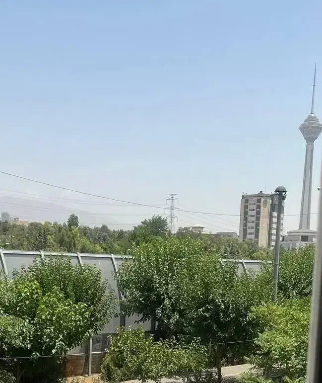 هم خونه خانم میشم