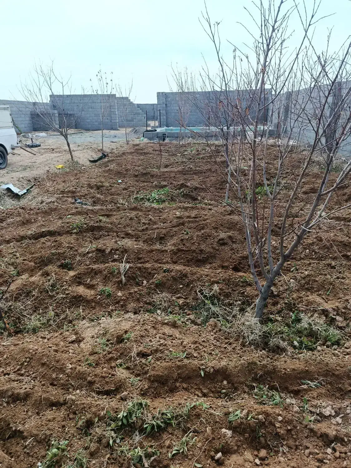 زمین 480متری