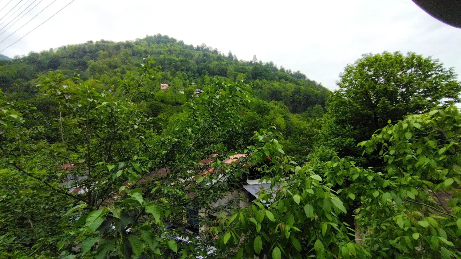 اجاره
