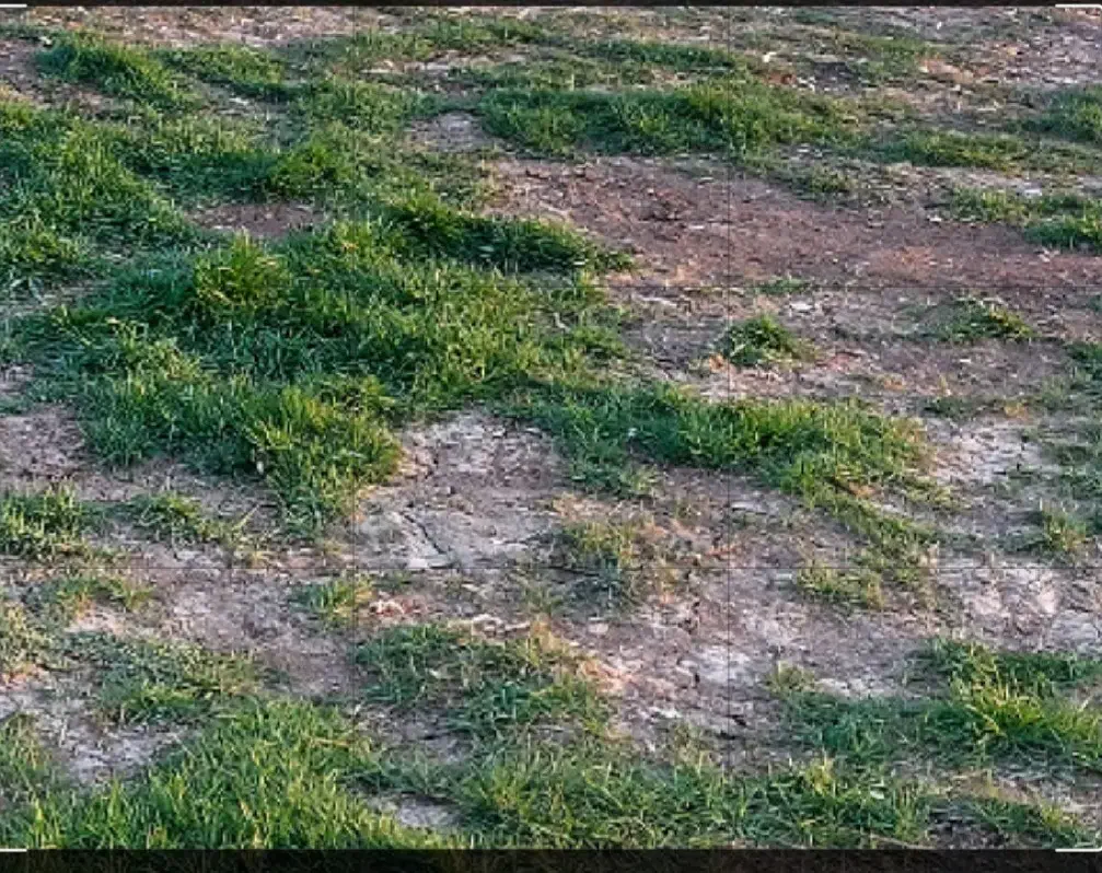 زمین ۱۵۰ متری خیابان دانش آموز