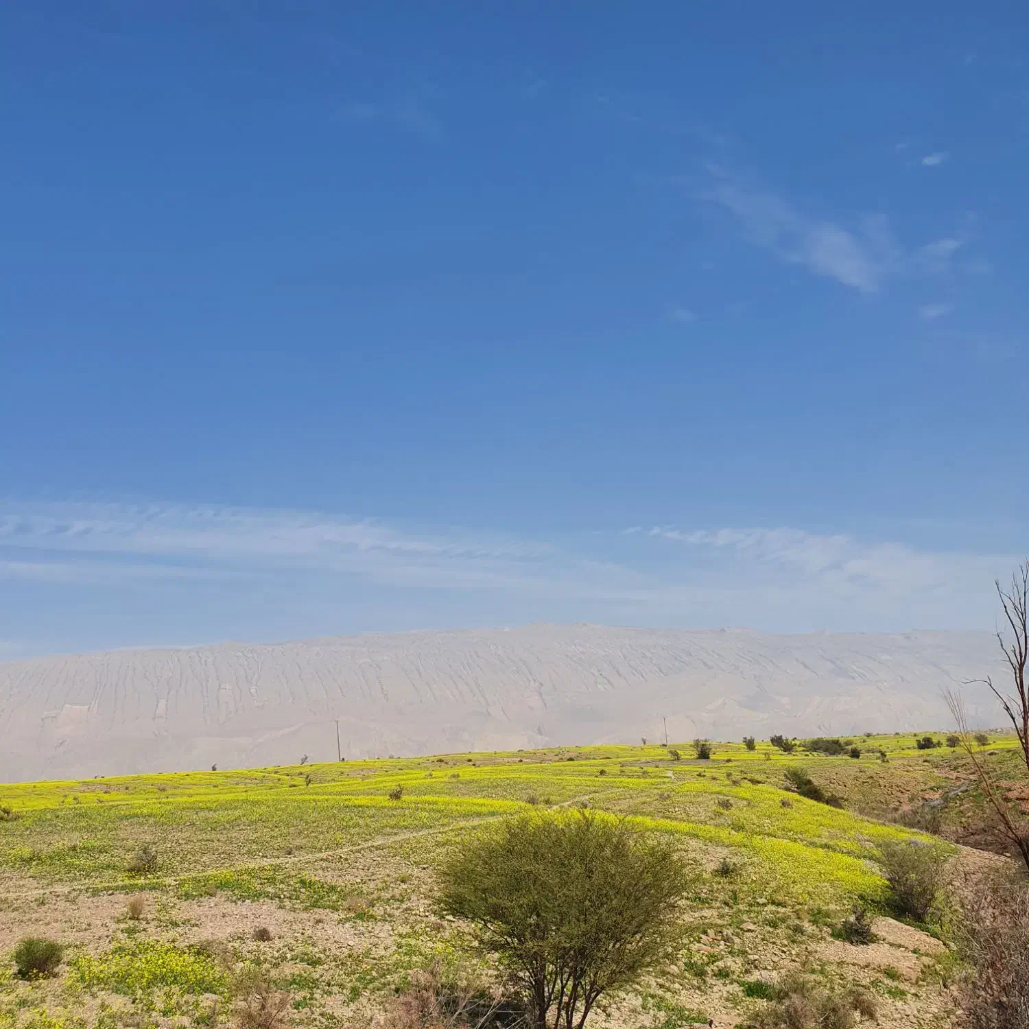 فروش زمین