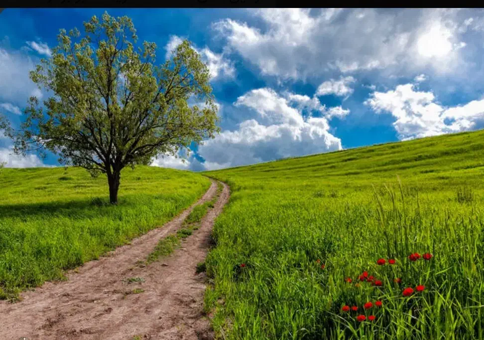 فروش زمین در رضی محله