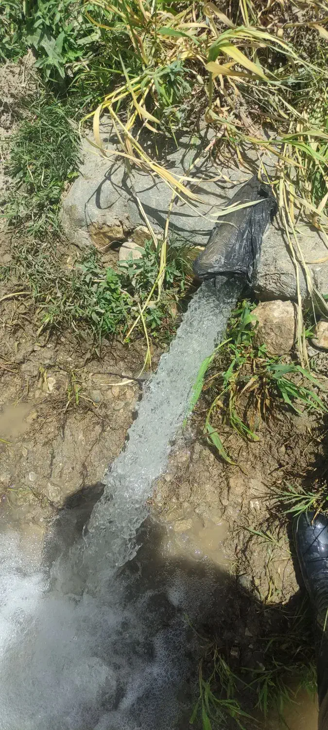 باغ بهر اصلی جاده درجه یک