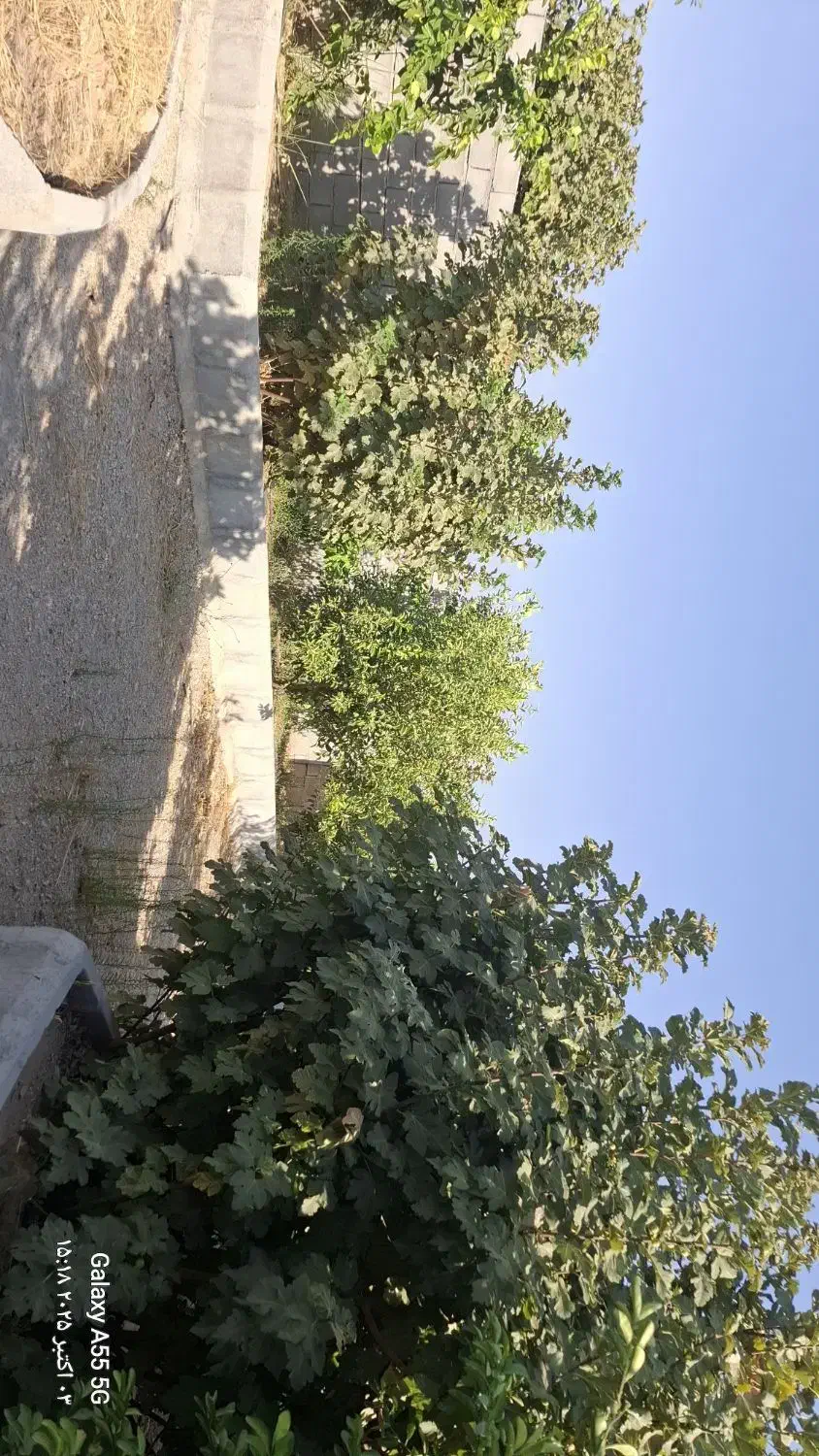 فروش باغچه