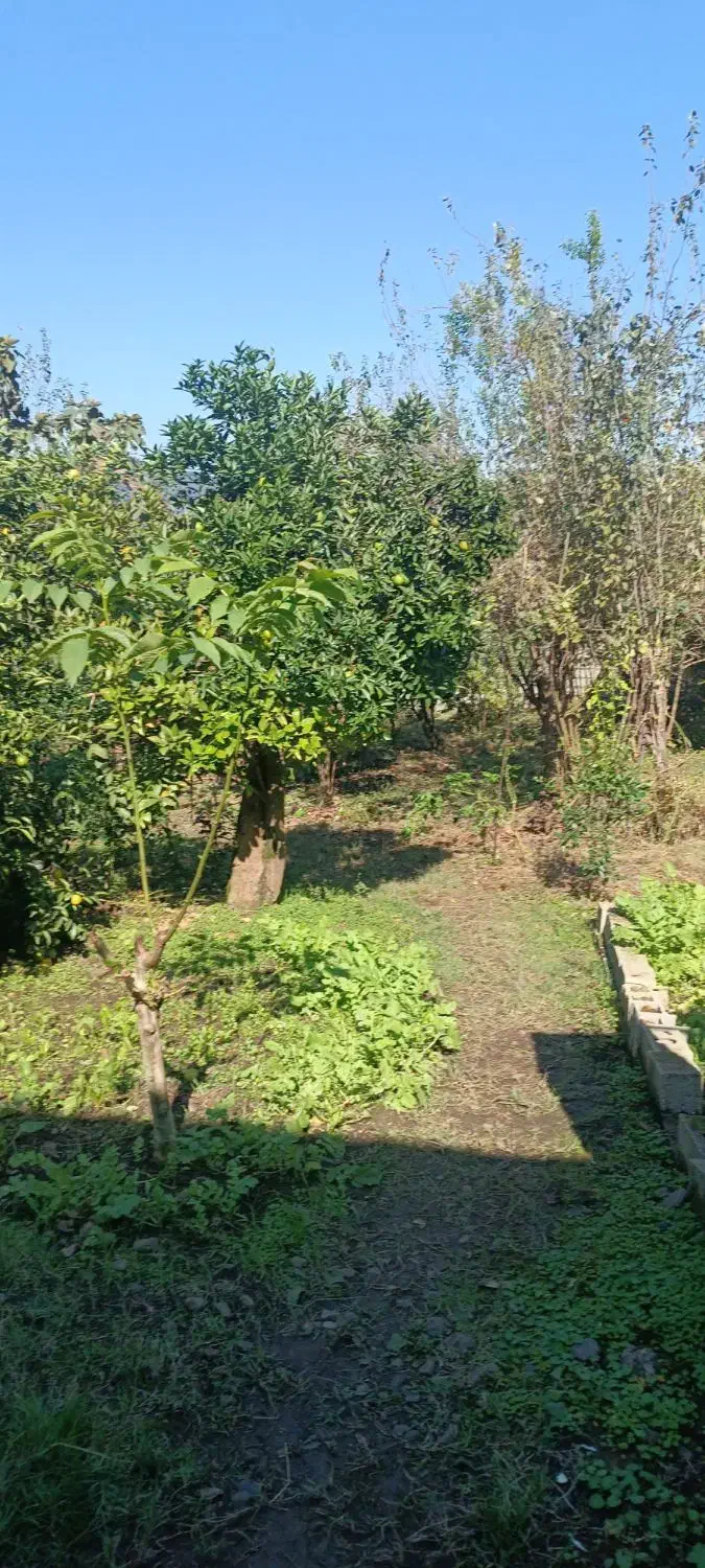 زمین مسکونی اطاقور