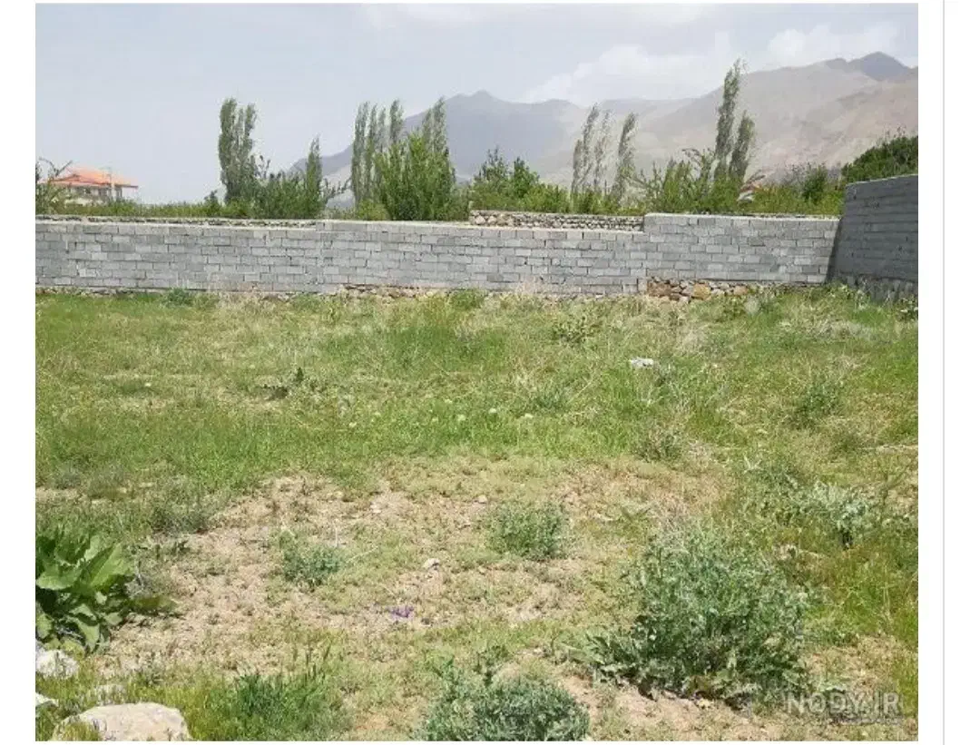 زمین