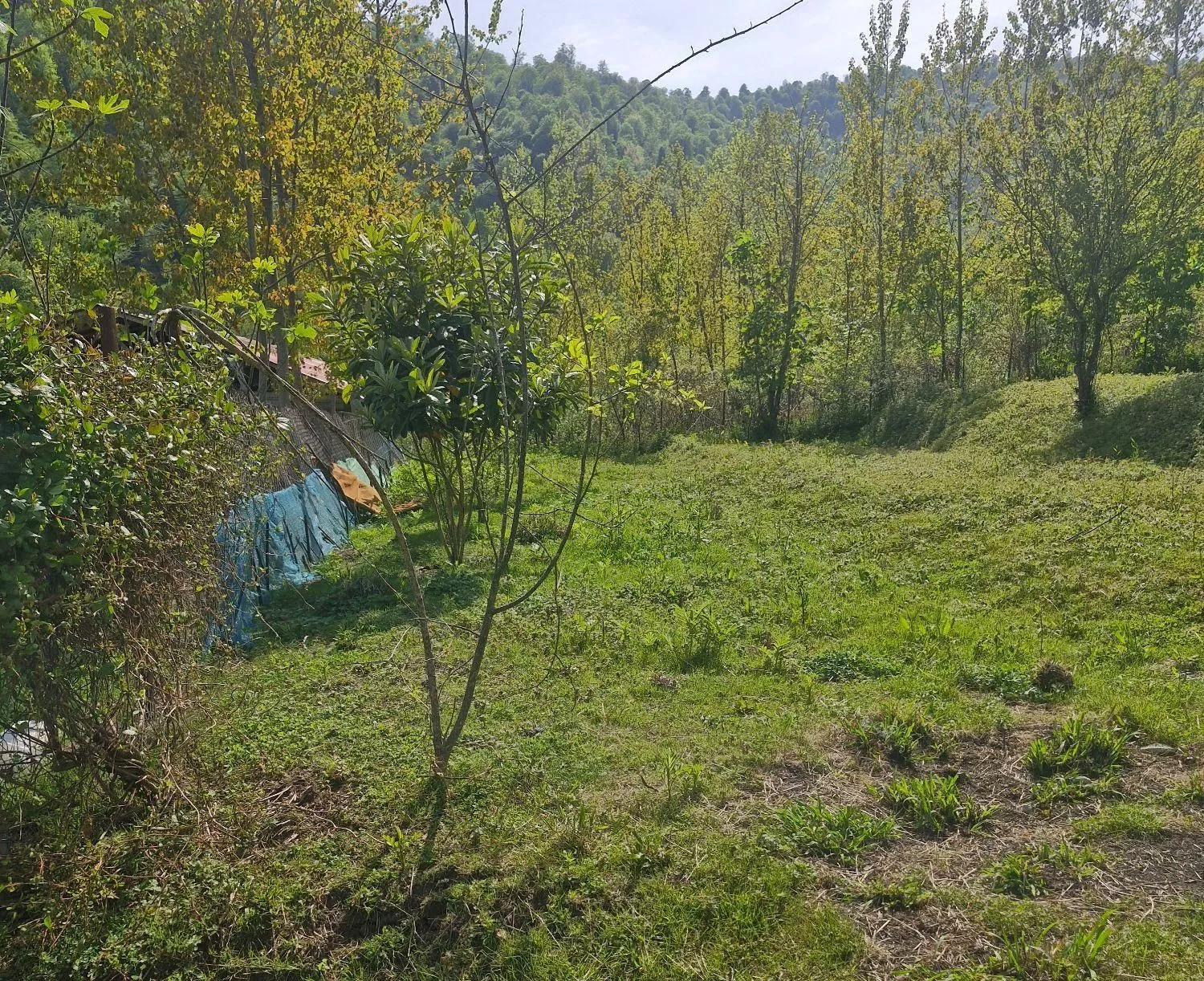 زمین کوهپایه ۵۰۰ متری در جوکندان