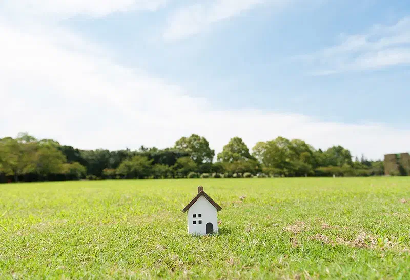 فروش یک قطعه زمین در دینور