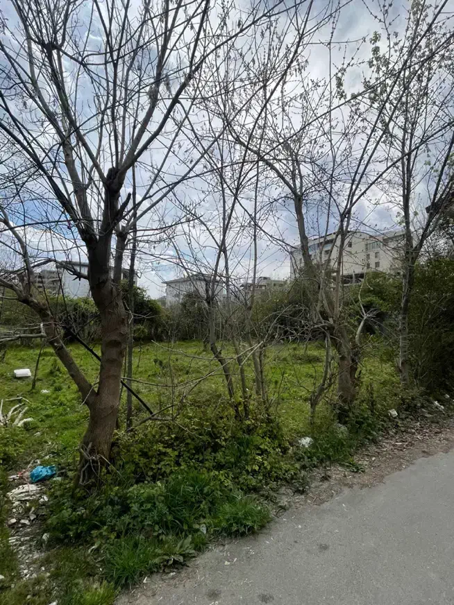 زمین مسکونی ۳۱۸ متری طالقانی غربی هفتده