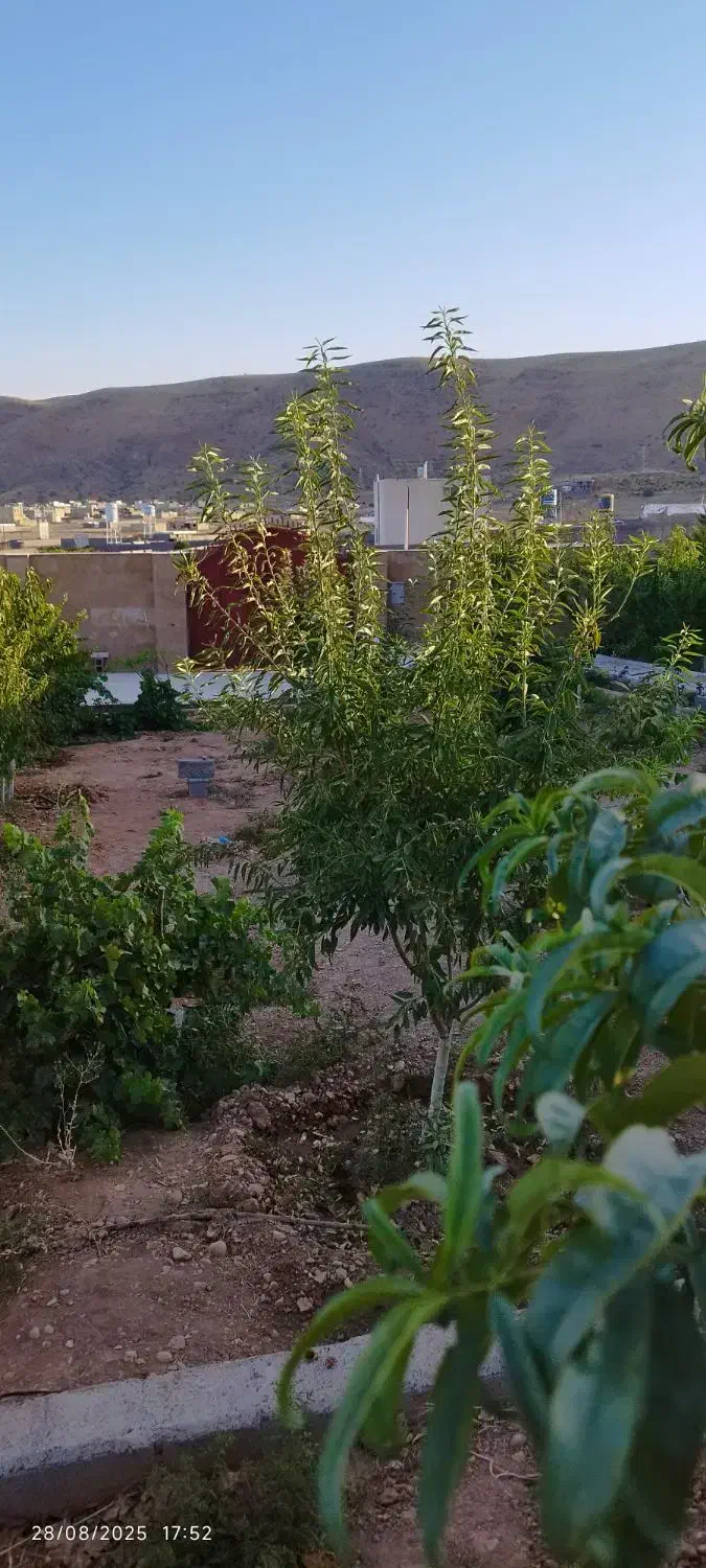 فروش باغ شهری کلستان