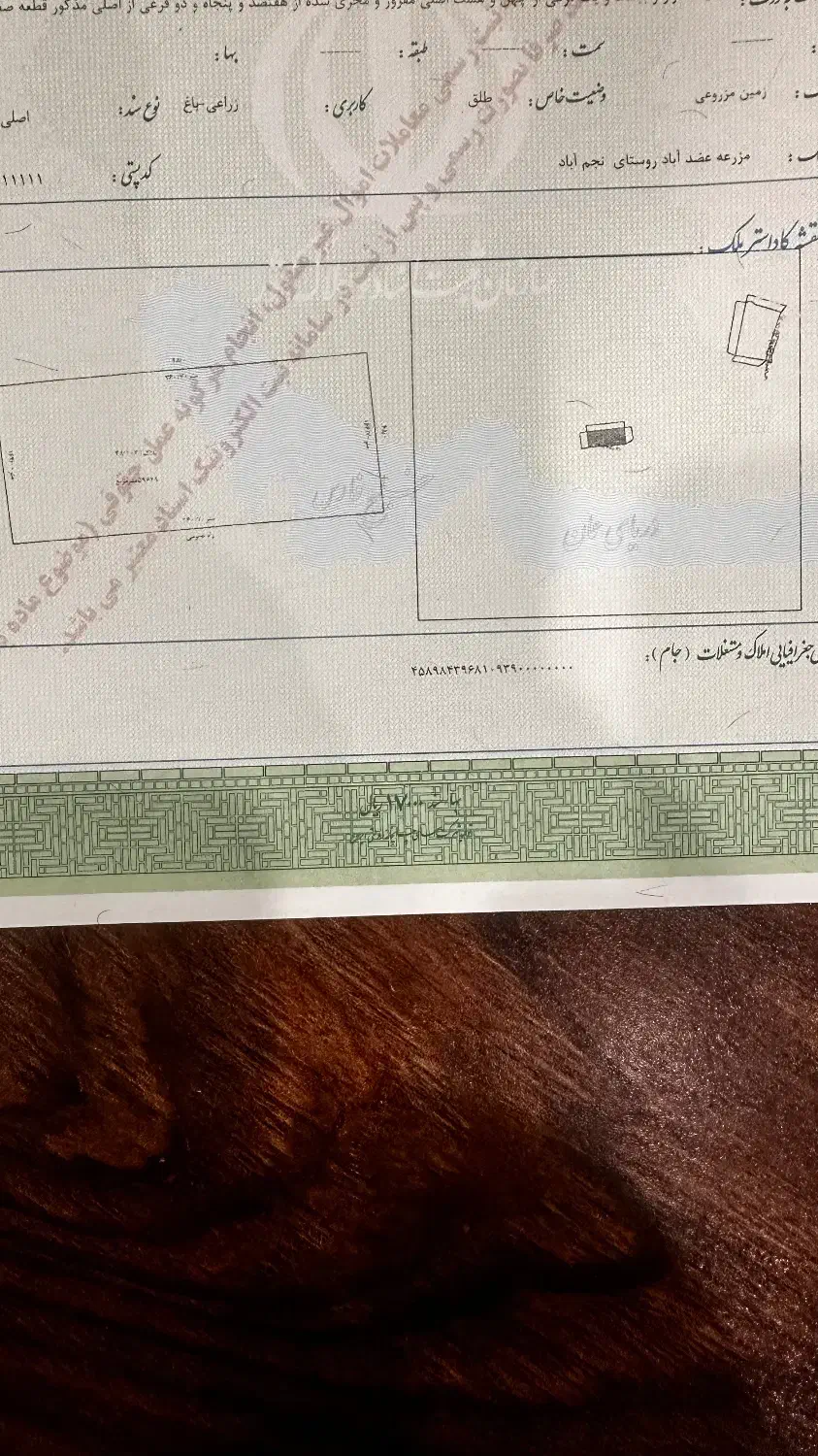 زمین کشاورزی