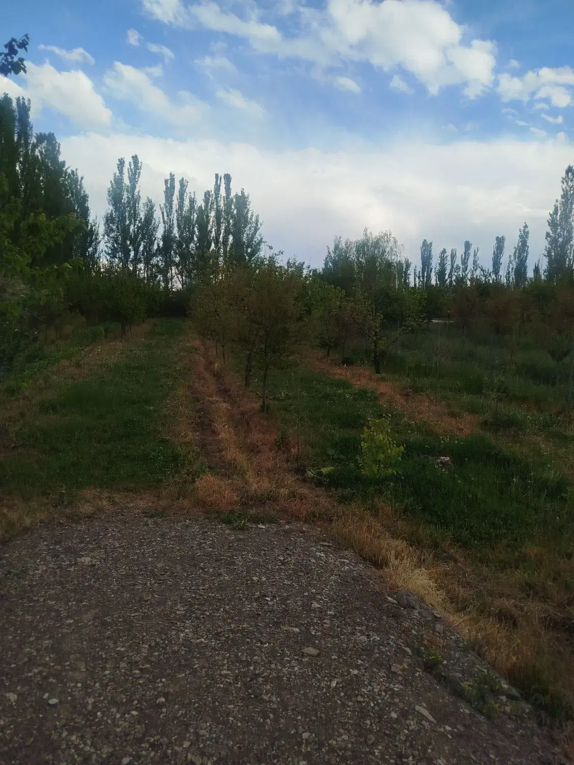 باغ روستایی چاوش قلی 1500 متر املاک محمدی