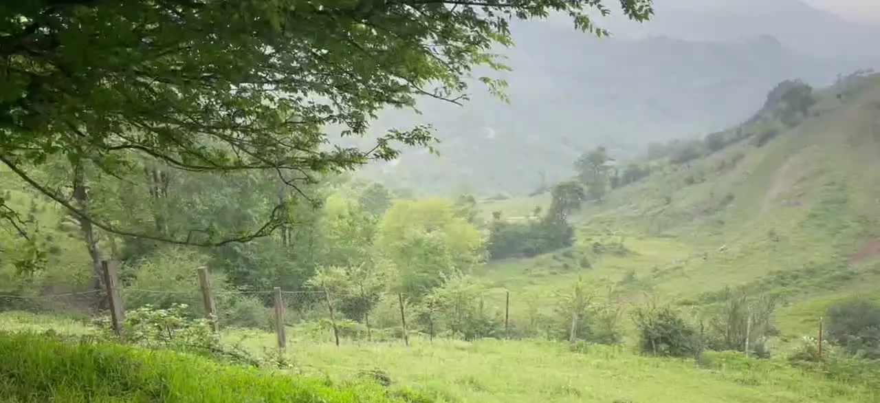 فروش زمین با امکانات کامل در