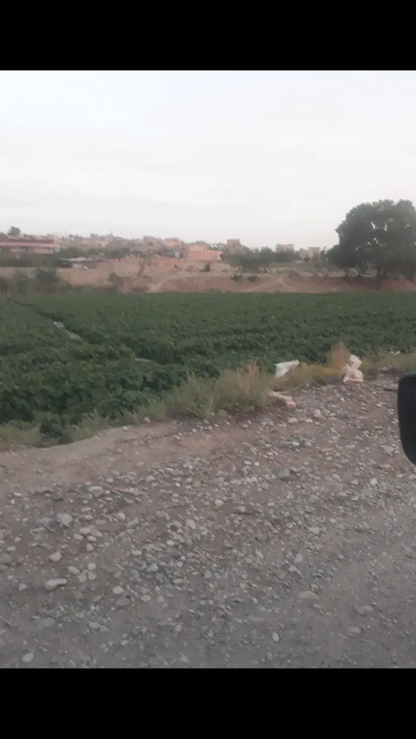 باغچه
