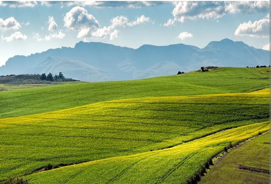 زمین مسکونی با مجوز ساخت روستای پامسار