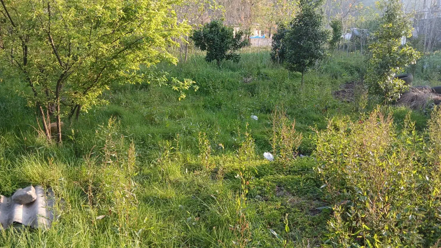 فروش زمین مسکونی با سند تک برگ