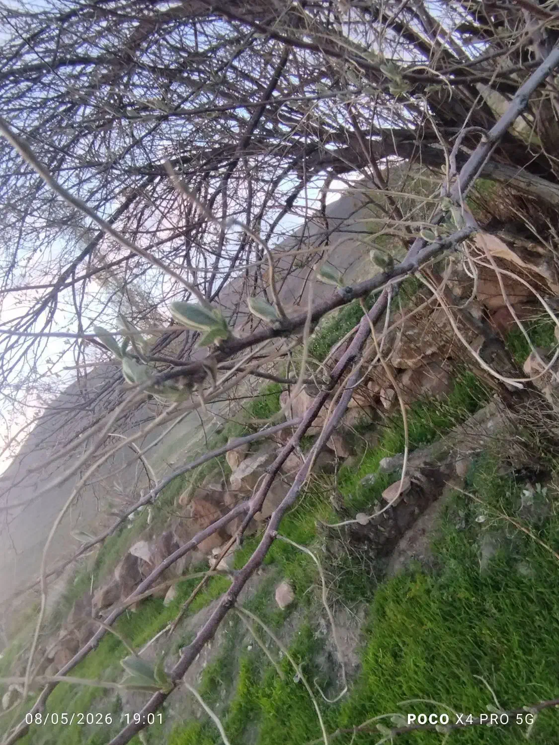 فروش زمین باغی ۱۱۰۰۰۰۰۰۰ تومان