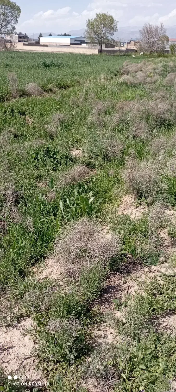 زمین ملکی ۳۰۰متر استثنایی اول جاده فیلخانه