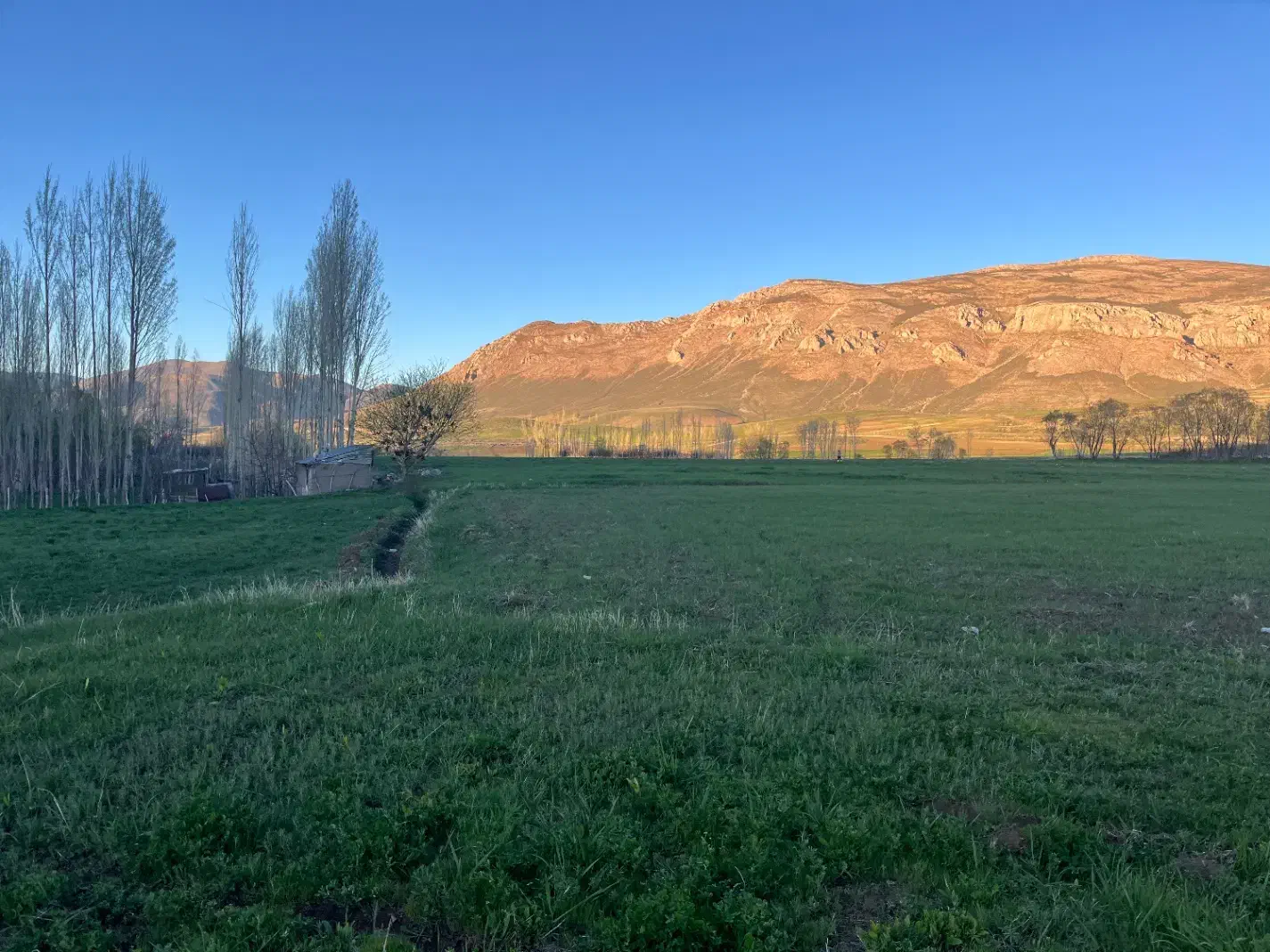 زمین کشاورزی ابی