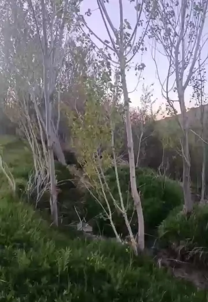 باغ در حصار قره باغی