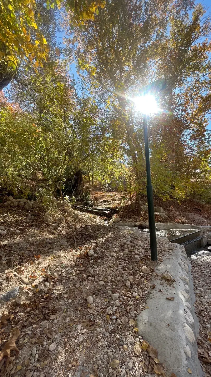 باغ و زمین گهواره